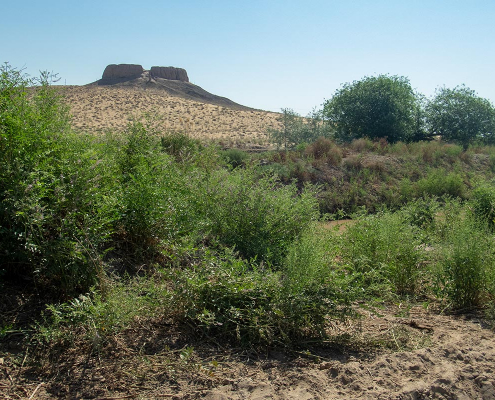 Chilpik Kala depuis l'Amou daria